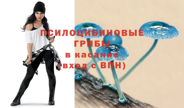 крисы Семёнов