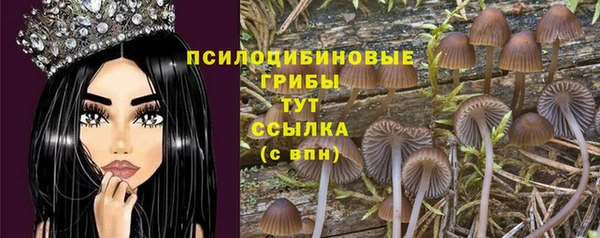 крисы Семёнов